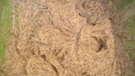 пирог с маком в мультиварке