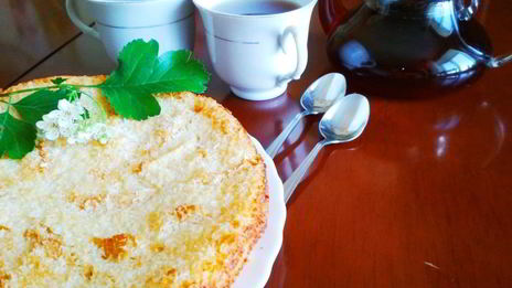 творожный пирог с яблоками в кокосовой карамели