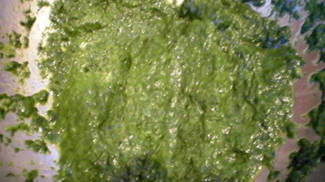 пирожное весенняя свежесть