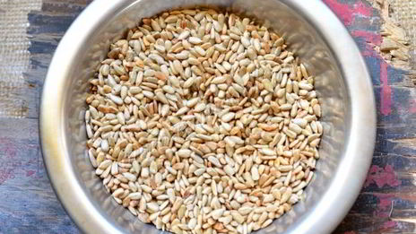 шоколадный брауни с кунжутом и семечками