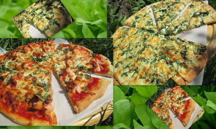 Рецепт пиццы красное и белое