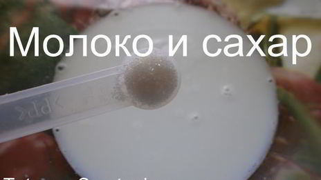 дрожжевое опарное тесто