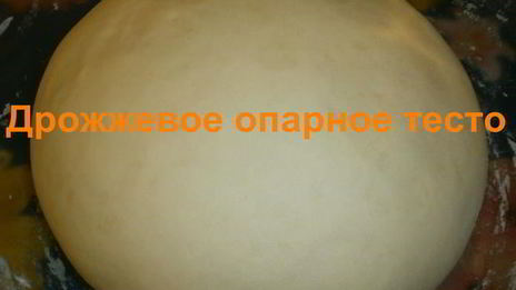 дрожжевое опарное тесто
