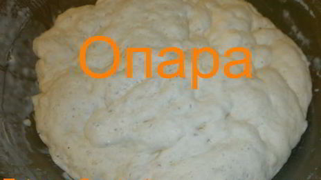 дрожжевое опарное тесто