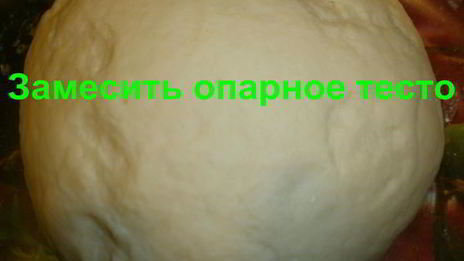 дрожжевое опарное тесто