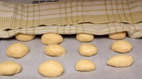 дрожжевое тесто с творогом