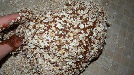 шоколадное тесто на дрожжах для выпечки