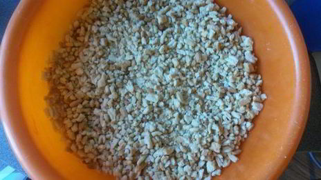 муравейник