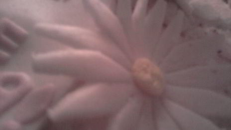 торт мокко ореховый