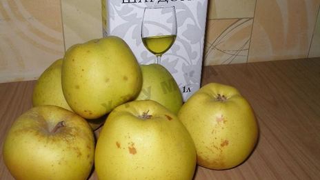 торт яблочный из песочного теста