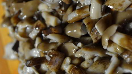 запеканка с картофелем и лесными грибами