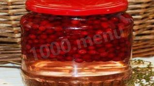 Брусника на воде с сахаром