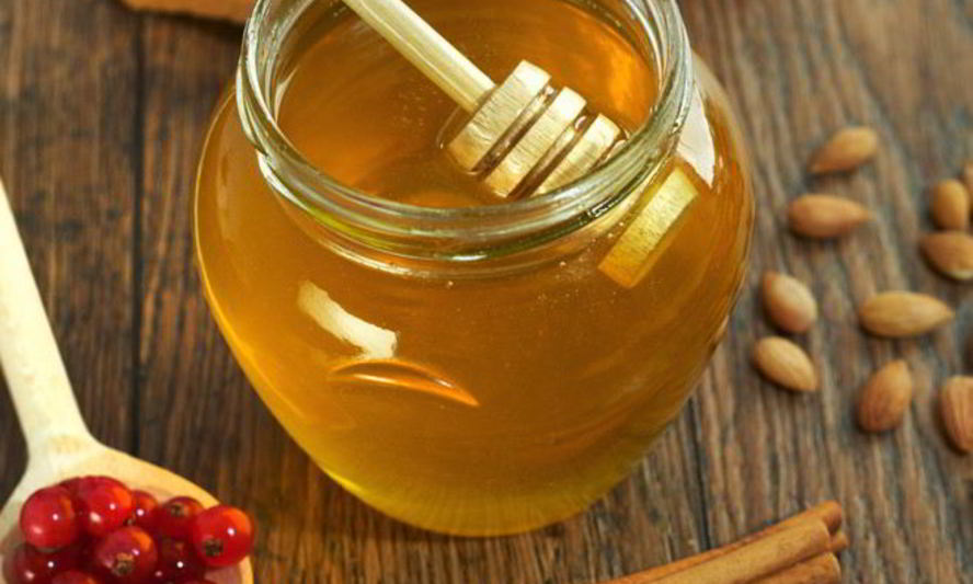 Рецепт брусники с медом на зиму