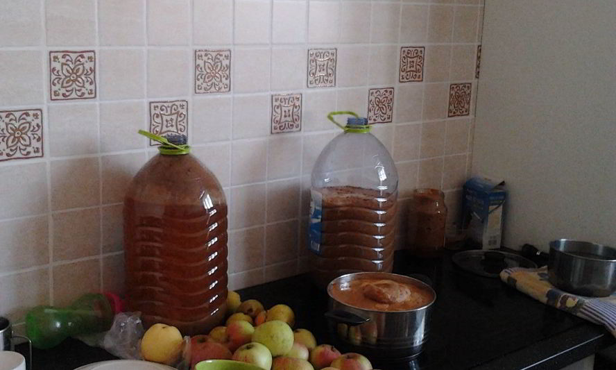 Рецепт домашнего яблочного сока на зиму