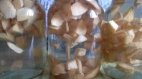 компот из айвы на зиму