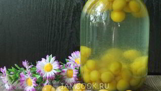 Компот из алычи на зиму