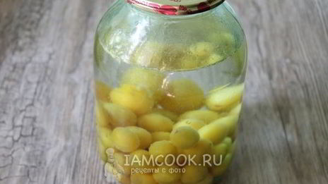 компот из алычи на зиму