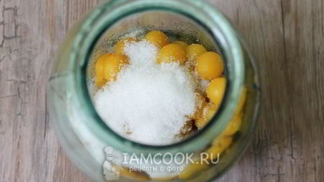 компот из алычи на зиму