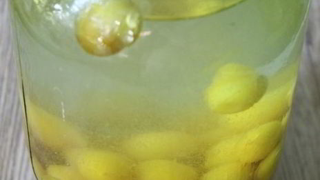 компот из алычи на зиму