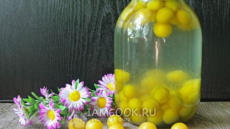 компот из алычи на зиму