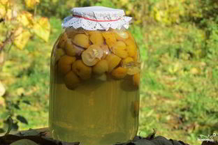 Компот из лимонника