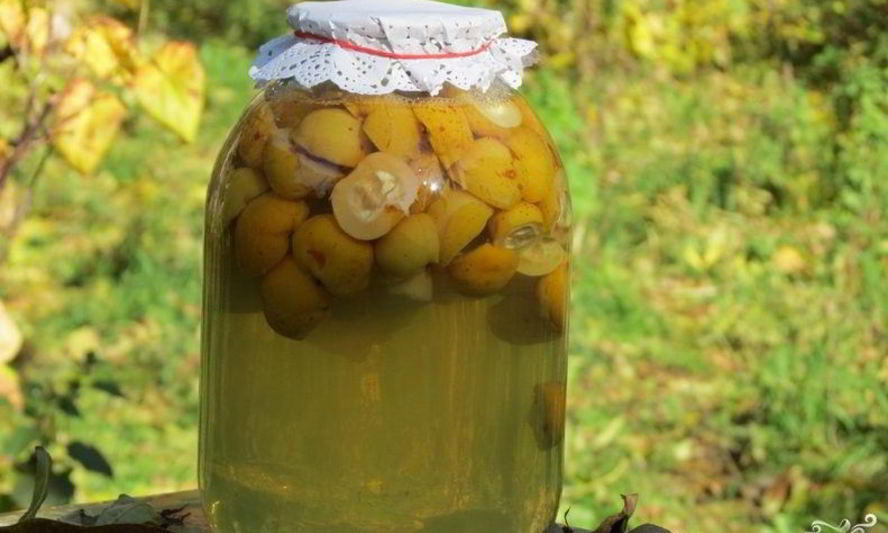 Рецепт компота из лимонника