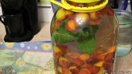 компот из мелкой сливы с мятой