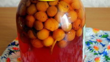 компот из мелкой сливы с мятой