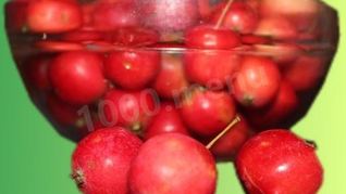 Компот из ранеток черноплодной рябины