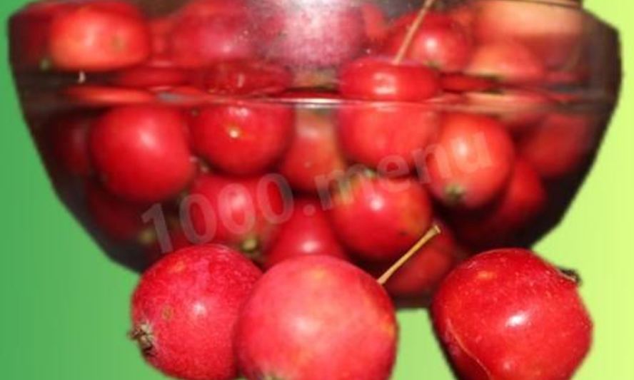 Рецепт компота из ранеток черноплодной рябины