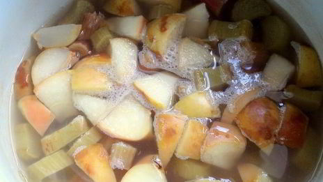 компот из ревеня, яблока и калины