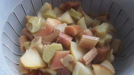 компот из ревеня, яблока и калины