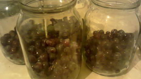 компот из винограда