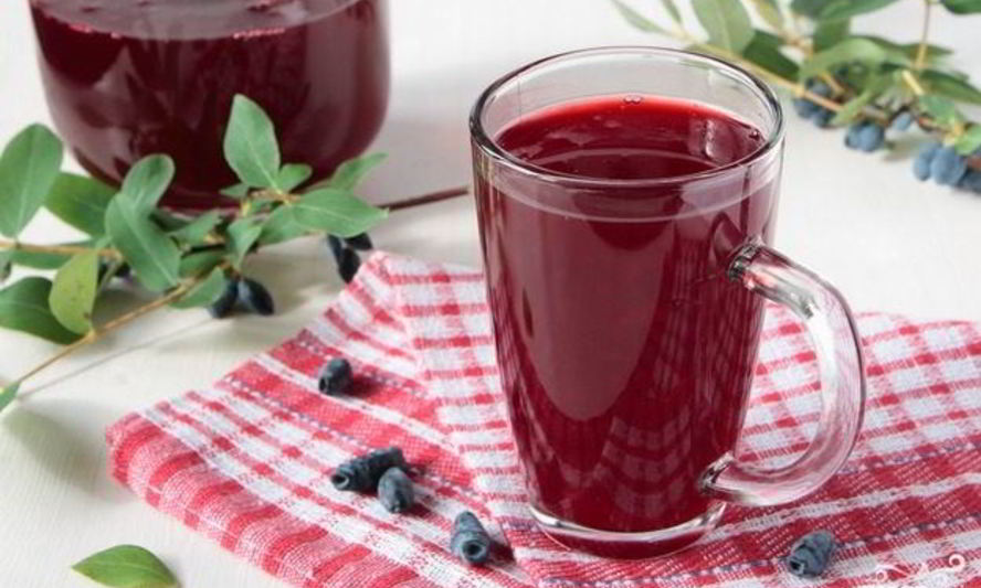 Рецепт компота из жимолости