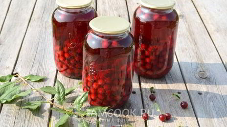 концентрированный компот из вишни на зиму