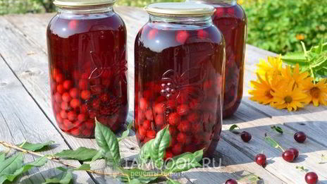 концентрированный компот из вишни на зиму