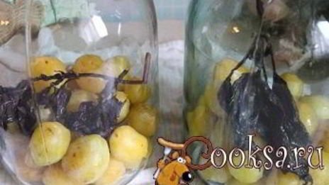 сливовый компот с базиликом на зиму