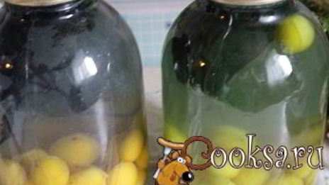 сливовый компот с базиликом на зиму