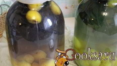 сливовый компот с базиликом на зиму