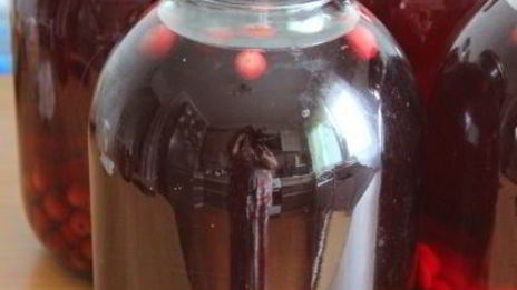 вишневый компот на зиму