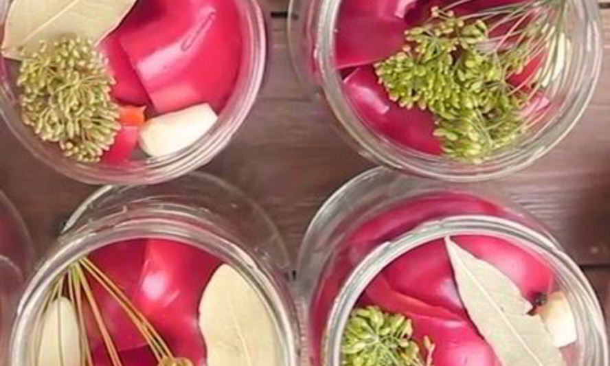 Рецепт квашеного болгарского перца