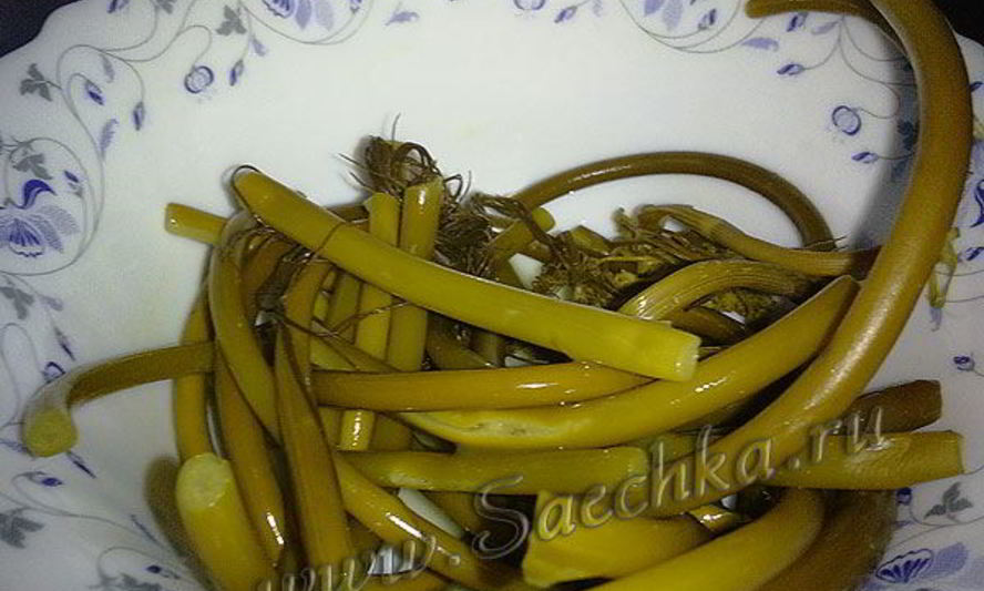 Рецепт квашеных стрелок чеснока