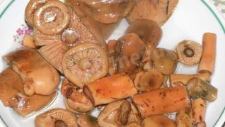 Грибы рыжики маринованные на зиму