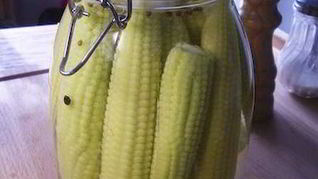 Маринованная молодая кукуруза на зиму