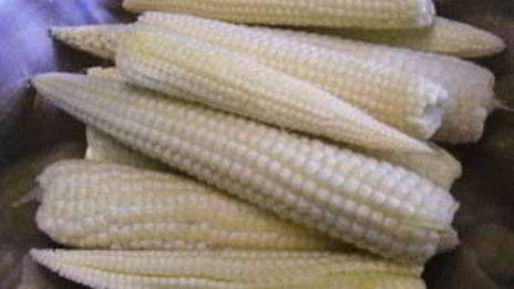 маринованная молодая кукуруза на зиму