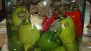 Маринованный болгарский перец