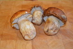 Маринованные белые грибы