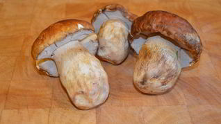 Маринованные белые грибы