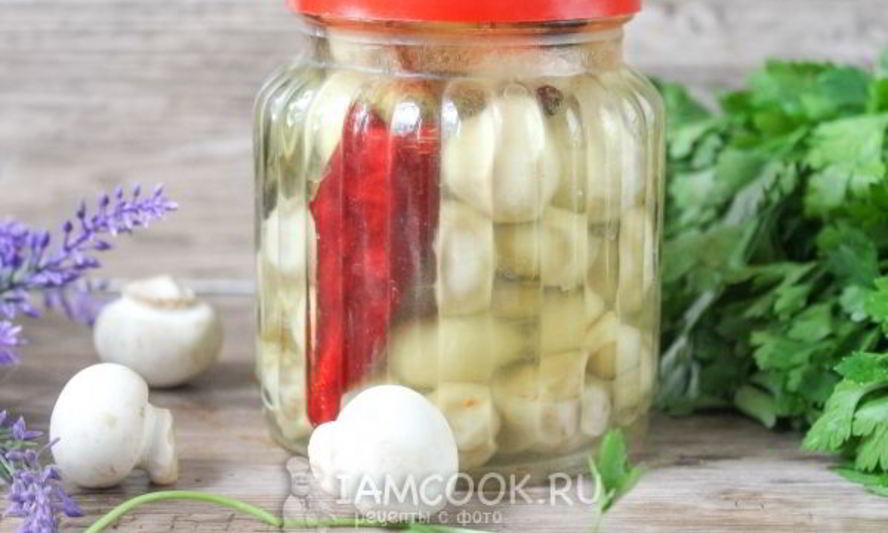 Рецепт маринованных белых шампиньонов