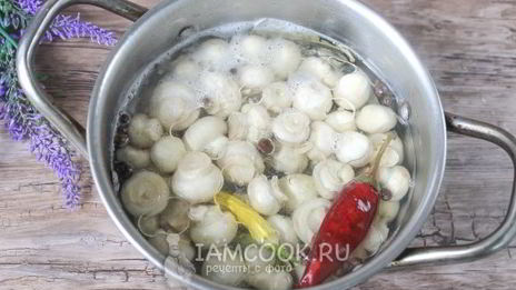 маринованные белые шампиньоны